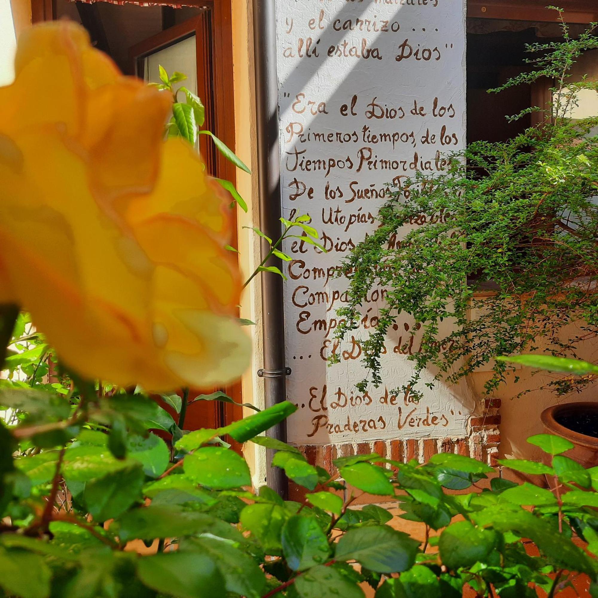 Beautiful Alamedas - Una Casa Rural Con Una Historia Unica Castronuno Bagian luar foto