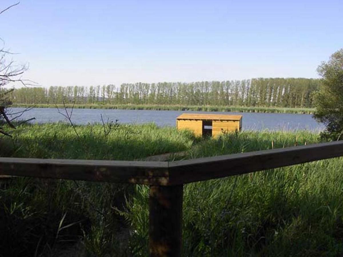 Beautiful Alamedas - Una Casa Rural Con Una Historia Unica Castronuno Bagian luar foto