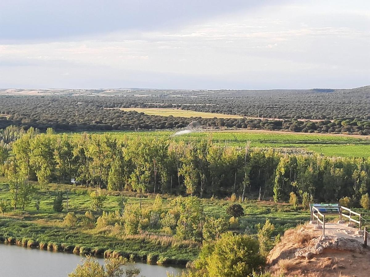 Beautiful Alamedas - Una Casa Rural Con Una Historia Unica Castronuno Bagian luar foto