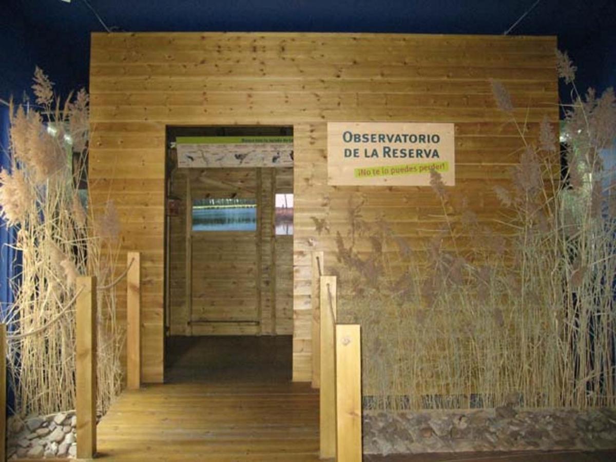 Beautiful Alamedas - Una Casa Rural Con Una Historia Unica Castronuno Bagian luar foto