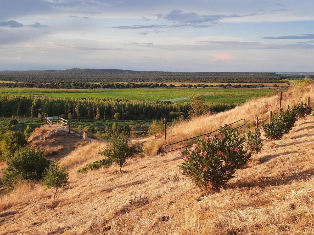 Beautiful Alamedas - Una Casa Rural Con Una Historia Unica Castronuno Bagian luar foto