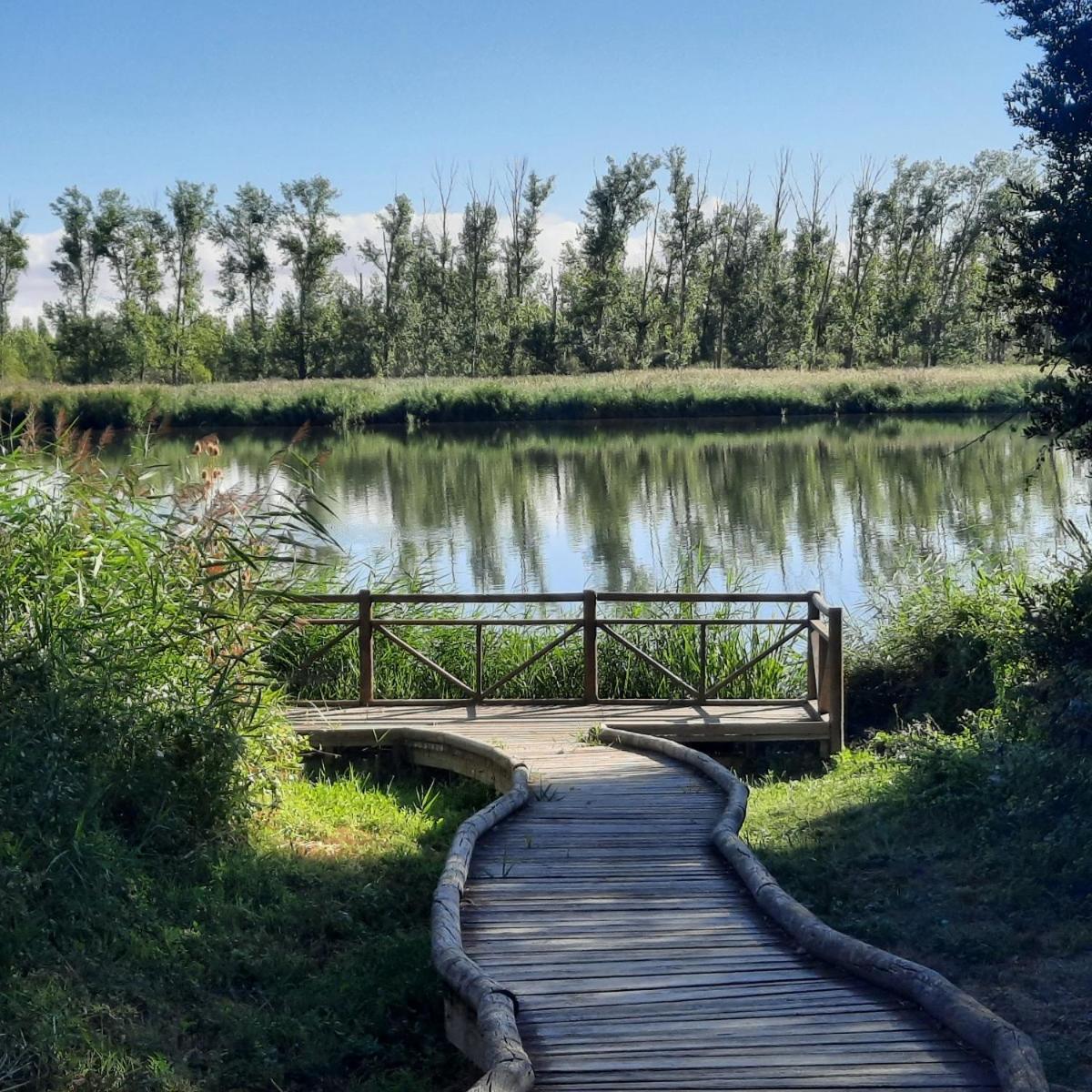 Beautiful Alamedas - Una Casa Rural Con Una Historia Unica Castronuno Bagian luar foto