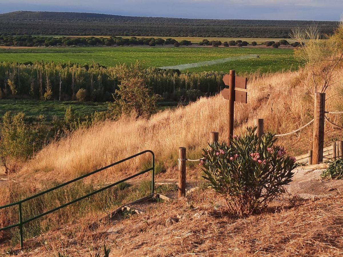 Beautiful Alamedas - Una Casa Rural Con Una Historia Unica Castronuno Bagian luar foto
